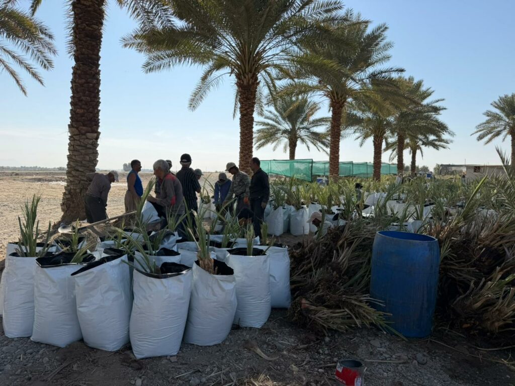 باغ بازار، پلی به سوی کشاورزی پایدار ایرانی و حمایت از خانوادههای بومی