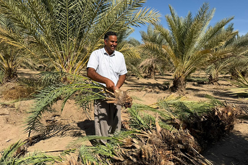 باغ بازار، پلی به سوی کشاورزی پایدار ایرانی و حمایت از خانوادههای بومی