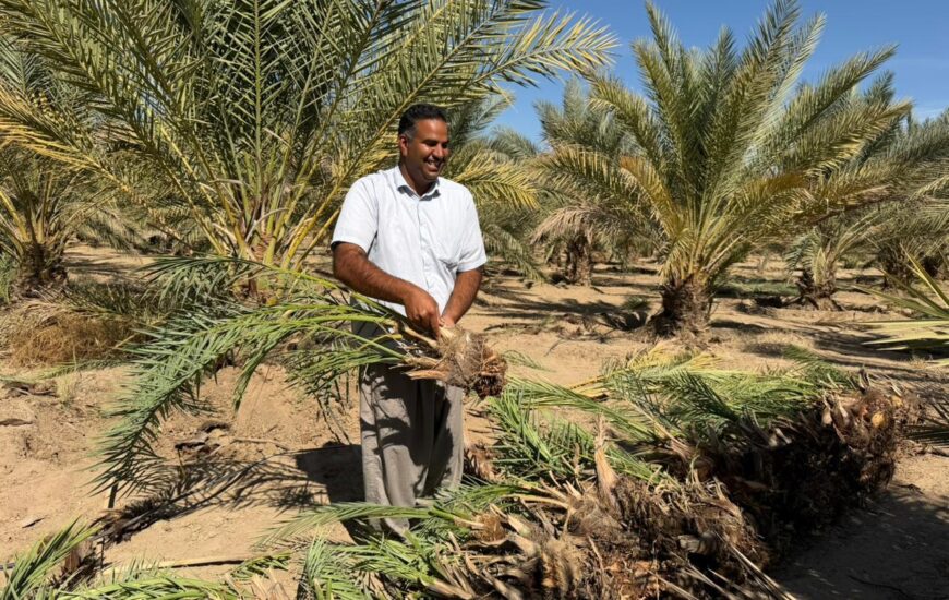 باغ بازار، پلی به سوی کشاورزی پایدار ایرانی و حمایت از خانوادههای بومی