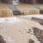 بارندگی ۶۰ میلی‌متری در جیرفت؛ این عدد دقیقاً چه معنایی برای باغ بازار دارد؟