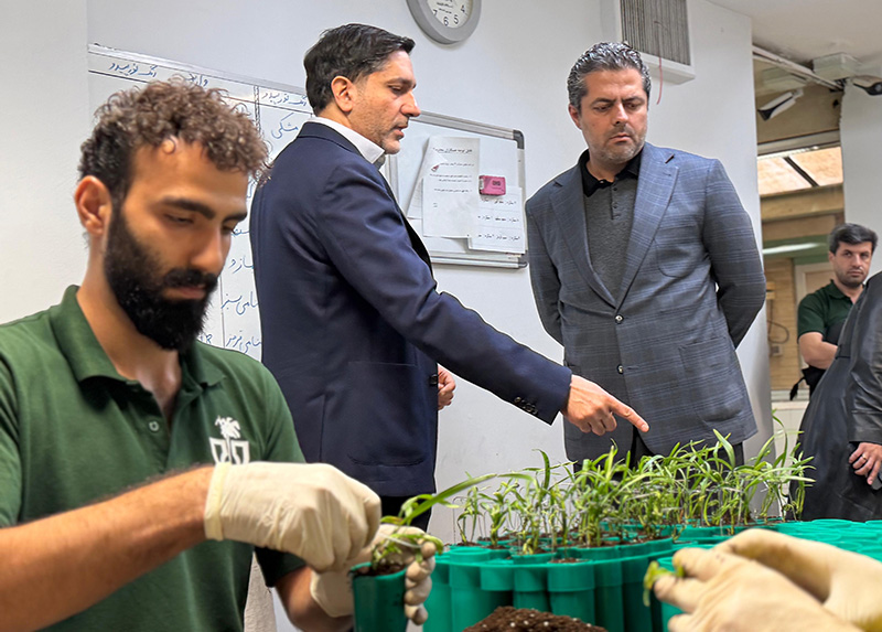 بازدید مدیران ارشد باغ بازار از خطوط تولید نهال‌های دانش‌بنیان شرکت کشت و صنعت رعنا