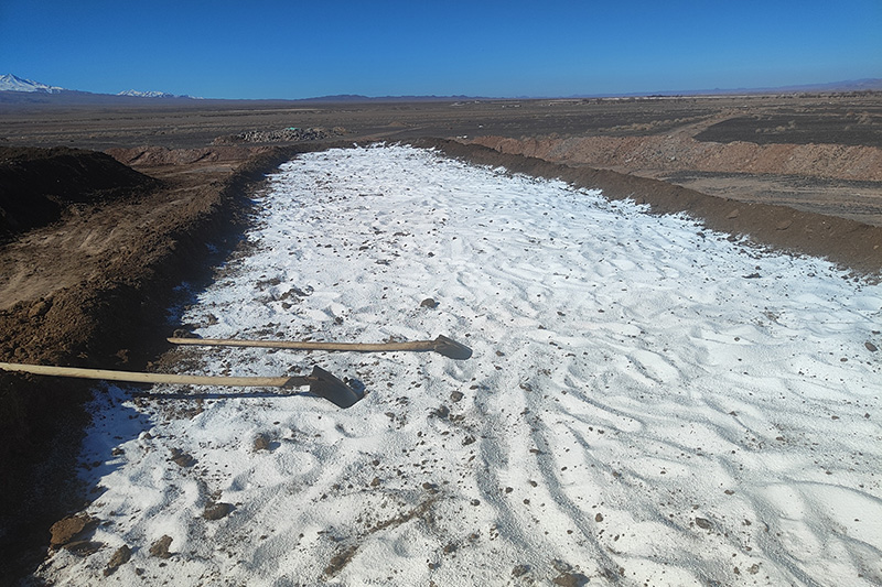 تامین دو هزار تن کود دامی با کیفیت؛ اقدامی موثر به منظور تهیه نهاده با کیفیت برای توسعه باغ های مدرن