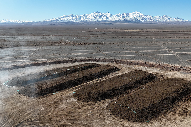 تامین دو هزار تن کود دامی با کیفیت؛ اقدامی موثر به منظور تهیه نهاده با کیفیت برای توسعه باغ های مدرن