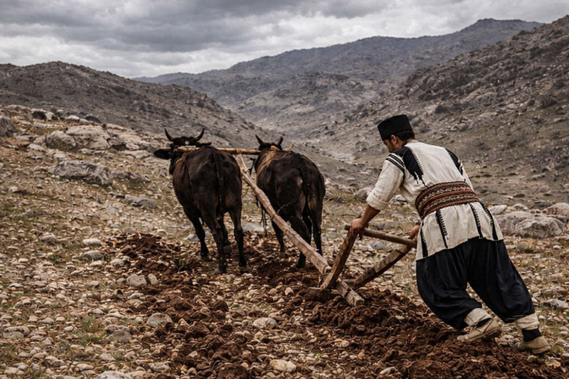 سده، نوروز کشاورزی و یک مناسبت خاص برای اهالی باغ بازار